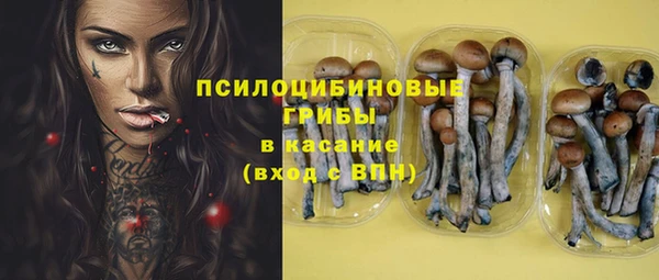 ПСИЛОЦИБИНОВЫЕ ГРИБЫ Гусев