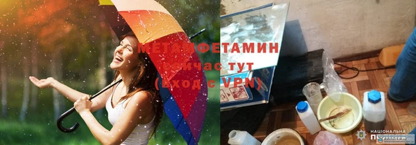 ПСИЛОЦИБИНОВЫЕ ГРИБЫ Гусев