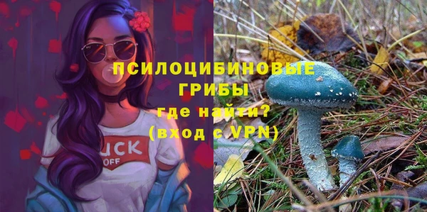ECSTASY Гусь-Хрустальный