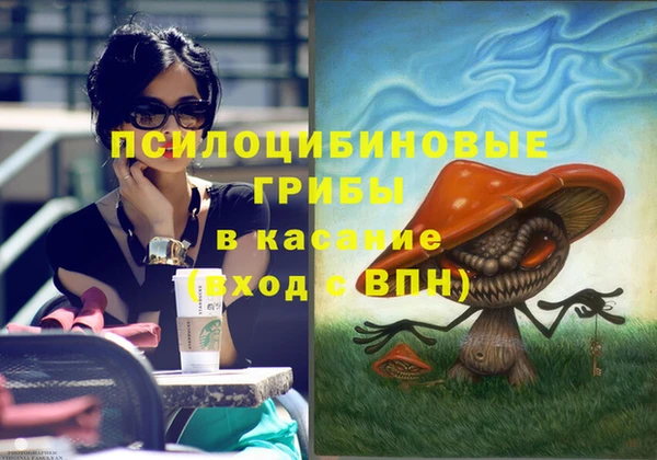 ПСИЛОЦИБИНОВЫЕ ГРИБЫ Гусев