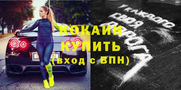 ПСИЛОЦИБИНОВЫЕ ГРИБЫ Гусев