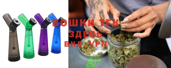 ECSTASY Гусь-Хрустальный