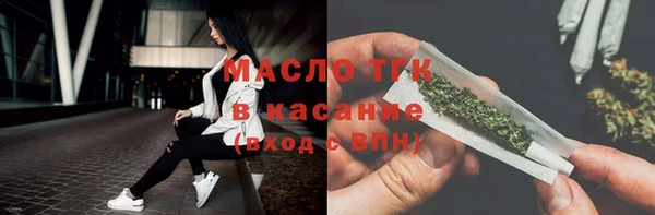 ECSTASY Гусь-Хрустальный
