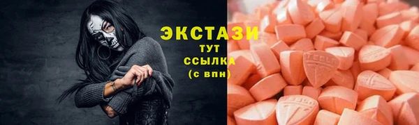 ECSTASY Гусь-Хрустальный