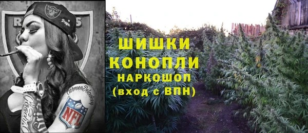 марки lsd Гусиноозёрск