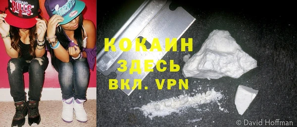 apvp Дмитриев