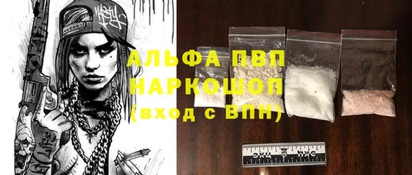 ECSTASY Гусь-Хрустальный
