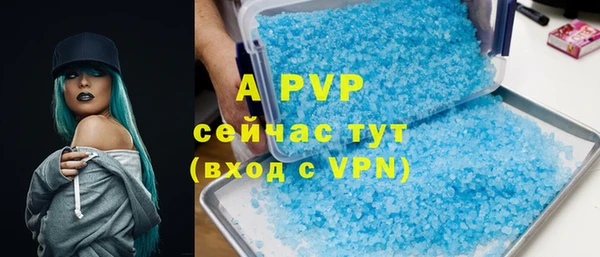 ПСИЛОЦИБИНОВЫЕ ГРИБЫ Гусев