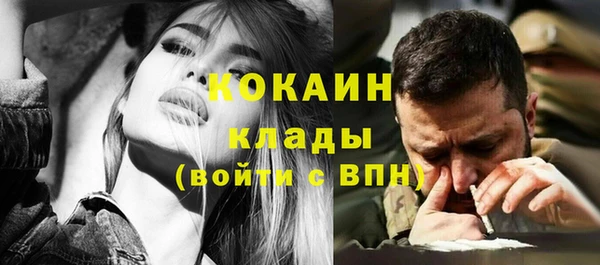 ECSTASY Гусь-Хрустальный