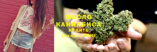ECSTASY Гусь-Хрустальный